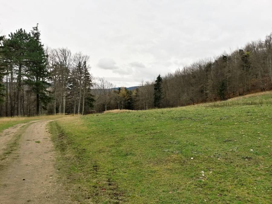 20151121_122305_richtone_hdr_.jpg