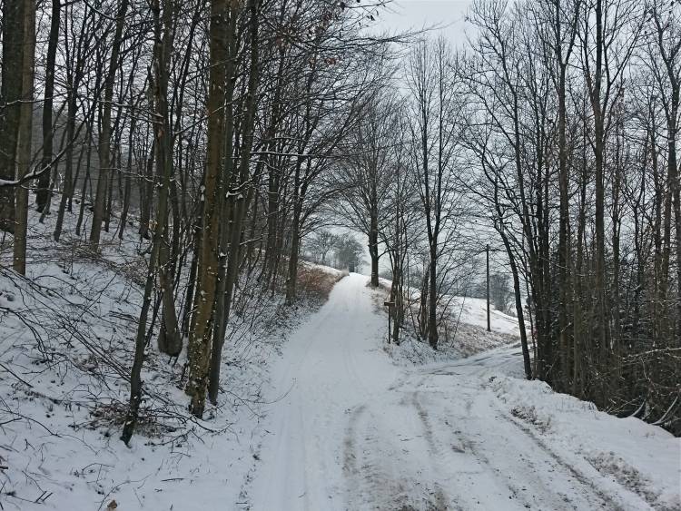 20160106_111414_richtone_hdr_.jpg
