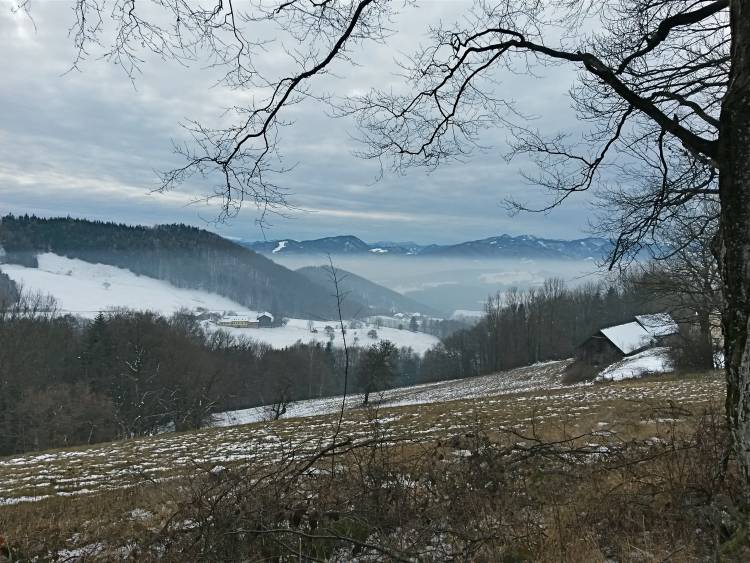20160106_113954_richtone_hdr_.jpg