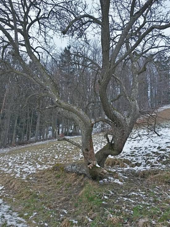 20160106_114706_richtone_hdr_.jpg