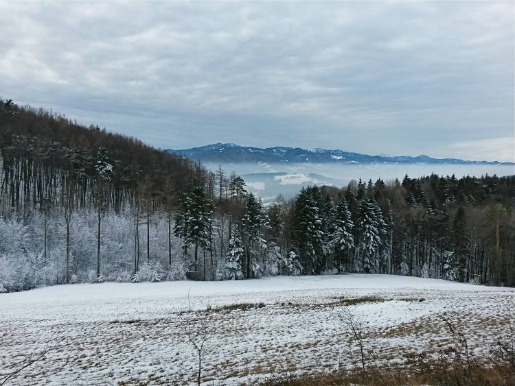 20160106_120351_richtone_hdr_.jpg