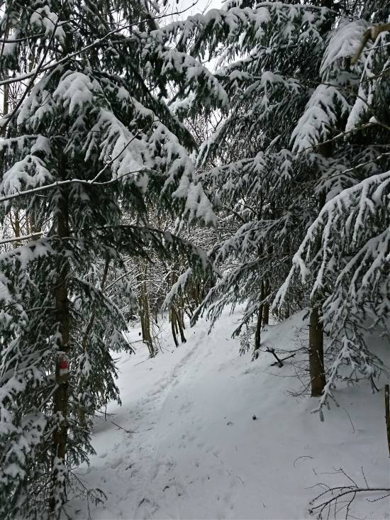 20160106_122843_richtone_hdr_.jpg