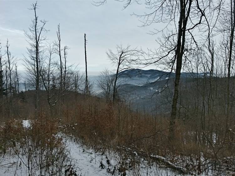 20160106_123233_richtone_hdr_.jpg