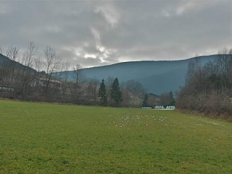 20160109_102111_richtone_hdr_.jpg