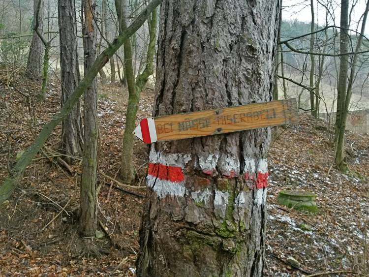 20160109_103034_richtone_hdr_.jpg