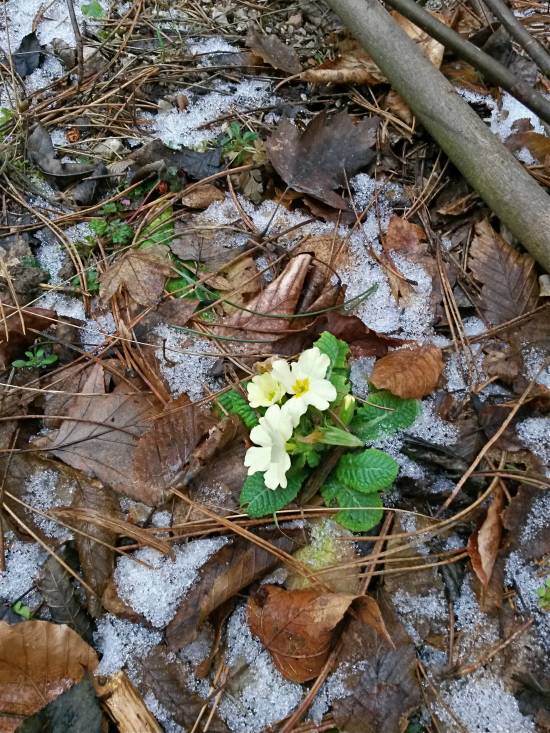 20160109_103834_richtone_hdr_.jpg