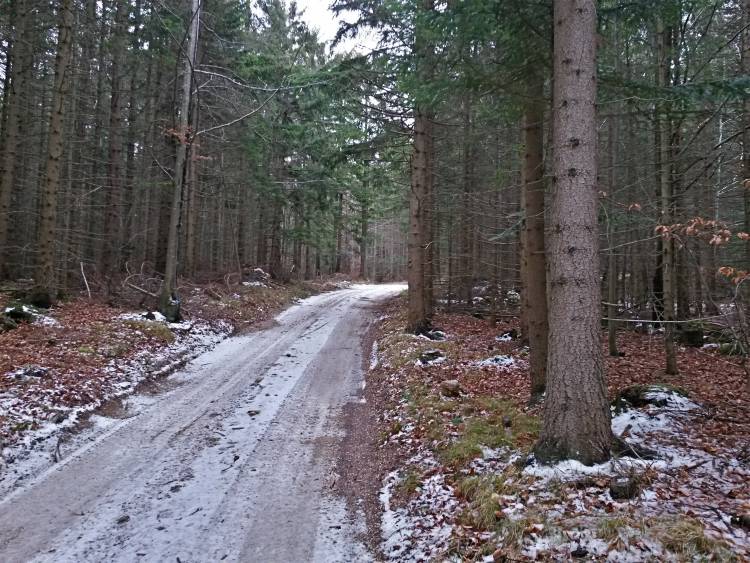 20160109_121652_richtone_hdr_.jpg