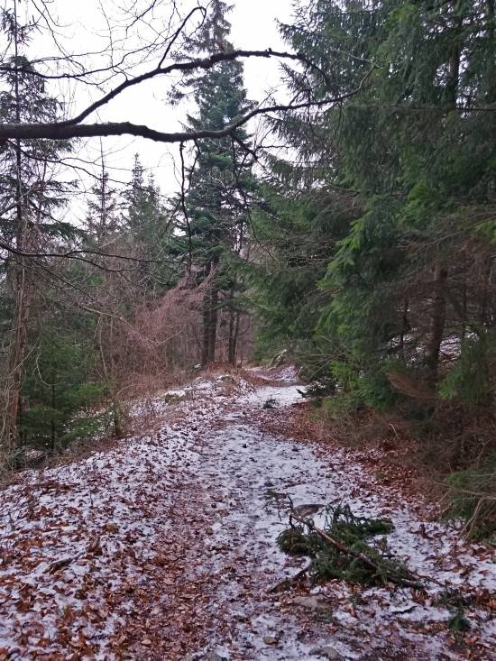 20160109_131331_richtone_hdr_.jpg