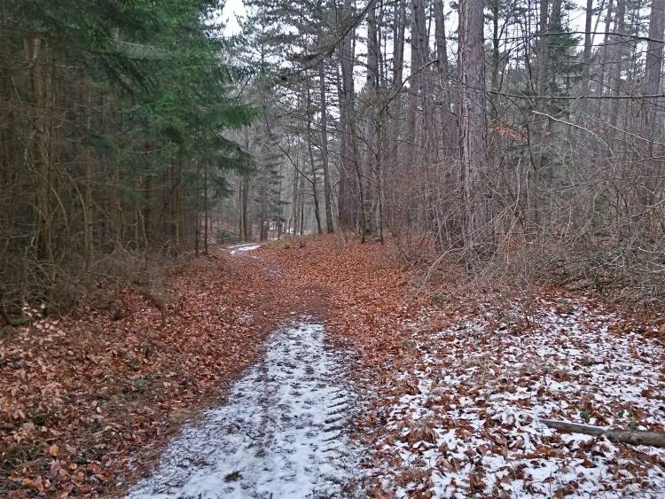 20160109_133447_richtone_hdr_.jpg
