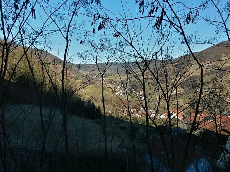 20160206_095248_richtone_hdr_.jpg