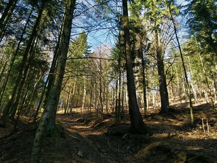 20160206_101826_richtone_hdr_.jpg