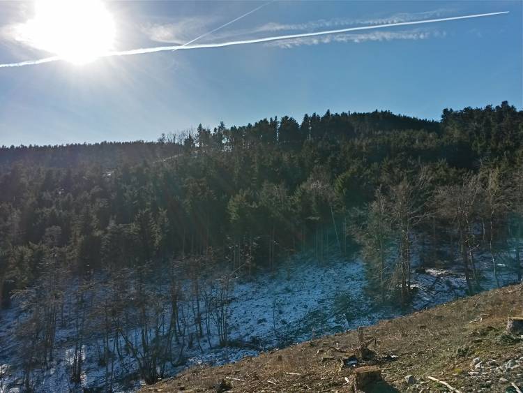 20160206_110003_richtone_hdr_.jpg