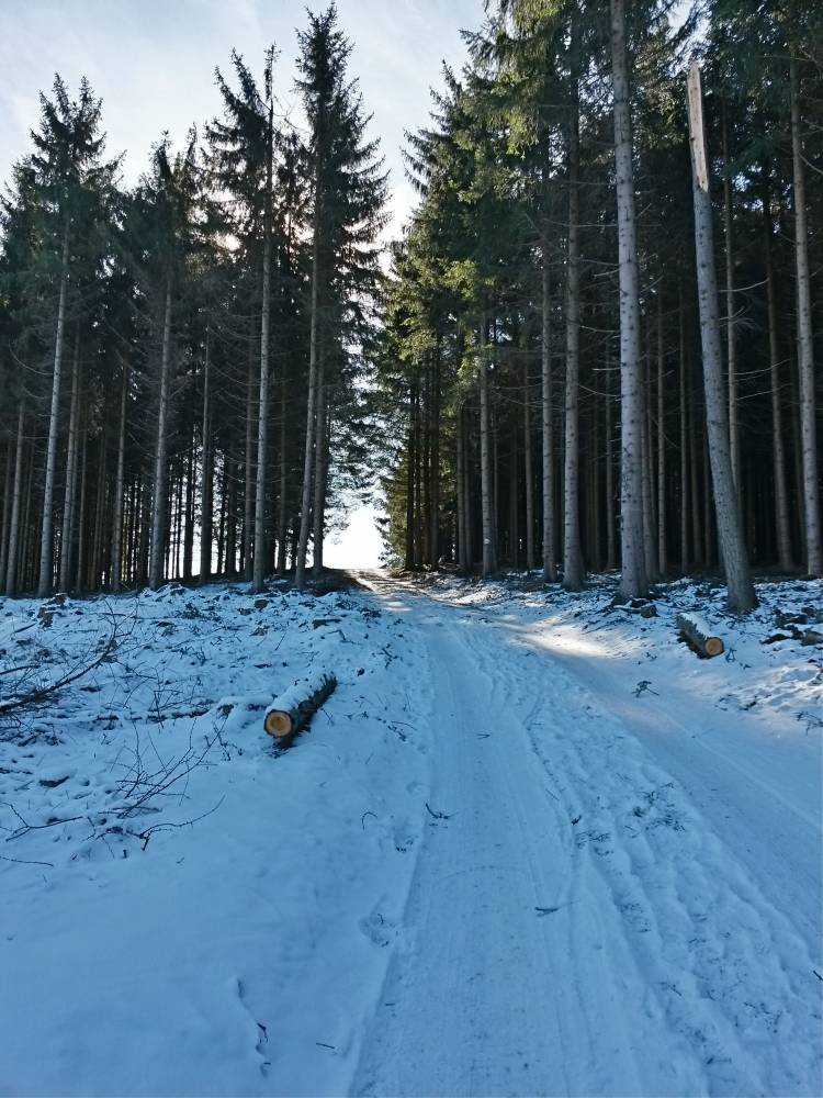 20160206_112007_richtone_hdr_.jpg