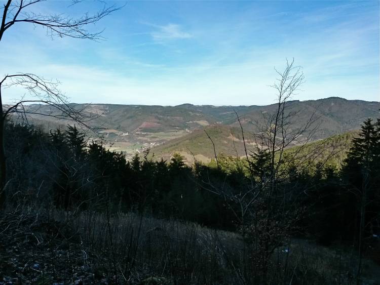 20160206_125309_richtone_hdr_.jpg