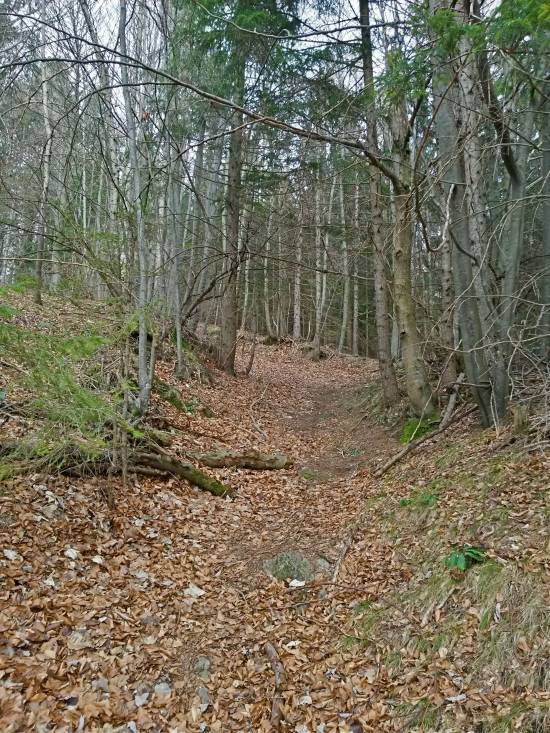 20160227_100203_richtone_hdr_.jpg