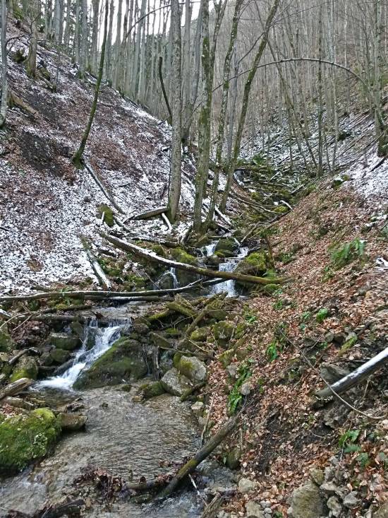 20160227_141519_richtone_hdr_.jpg