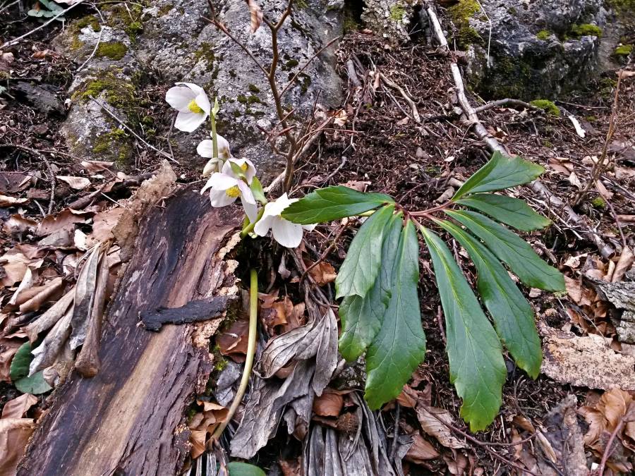 20160227_142045_richtone_hdr_.jpg 20160227_142045_richtone_hdr_.jpg