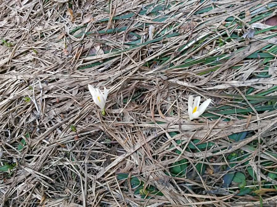 20160404_110347_richtone_hdr_.jpg
