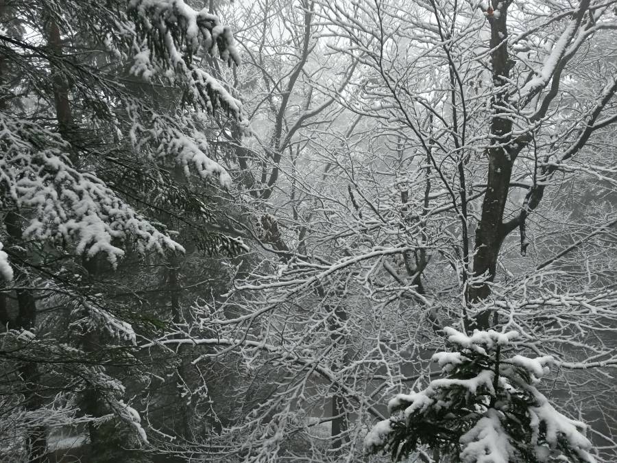 20160409_103404_richtone_hdr_.jpg 20160409_103404_richtone_hdr_.jpg