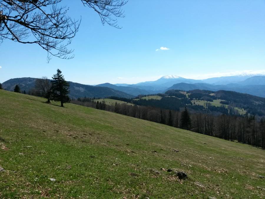 20160416_121946_richtone_hdr_.jpg 20160416_121946_richtone_hdr_.jpg