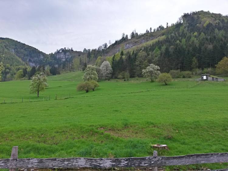 20160423_085850_richtone_hdr_.jpg