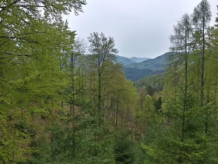 20160423_095951_richtone_hdr_.jpg
