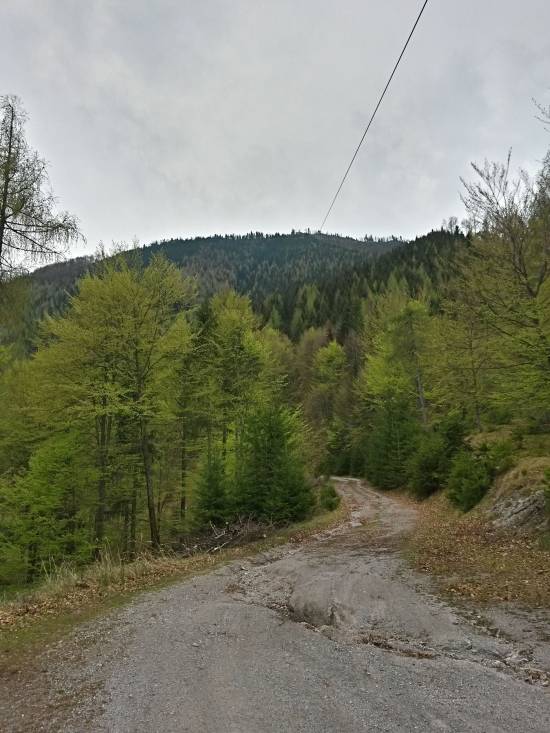 20160423_100343_richtone_hdr_.jpg