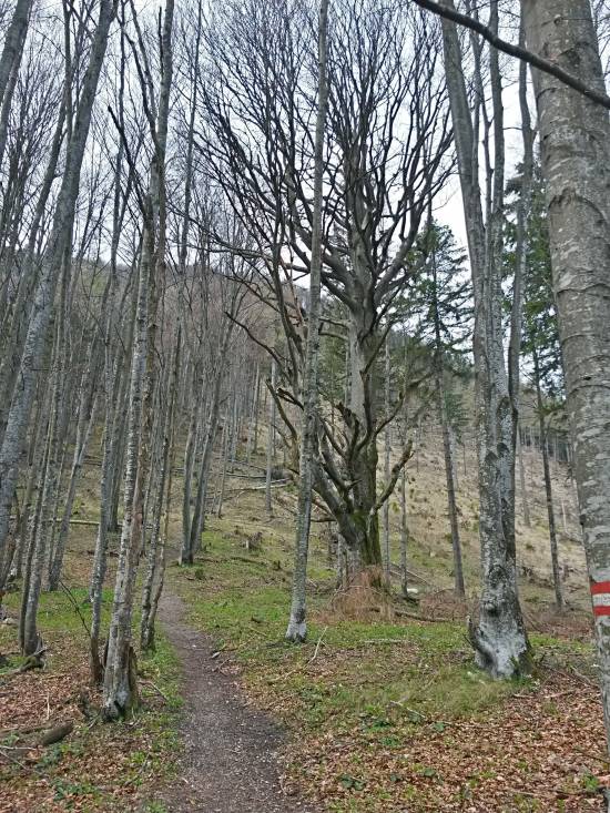 20160423_102915_richtone_hdr_.jpg