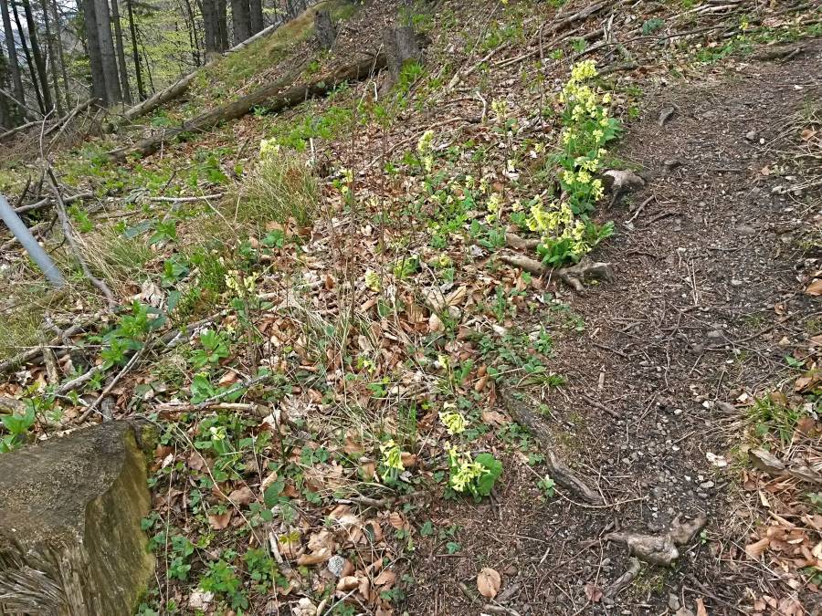 20160423_103200_richtone_hdr_.jpg 20160423_103200_richtone_hdr_.jpg