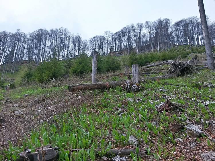20160423_105421_richtone_hdr_.jpg