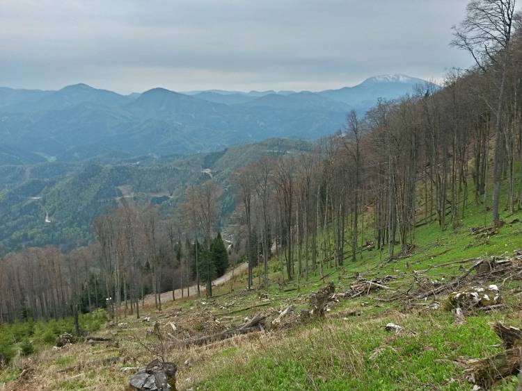 20160423_105746_richtone_hdr_.jpg