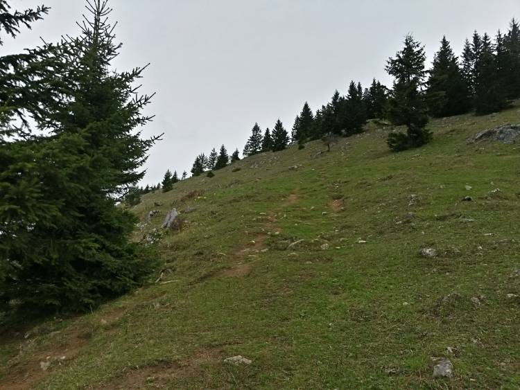20160423_111722_richtone_hdr_.jpg