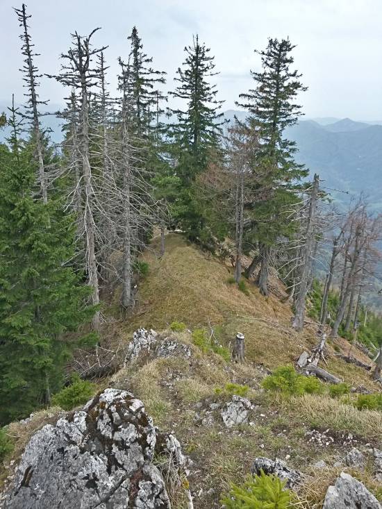 20160423_121327_richtone_hdr_.jpg