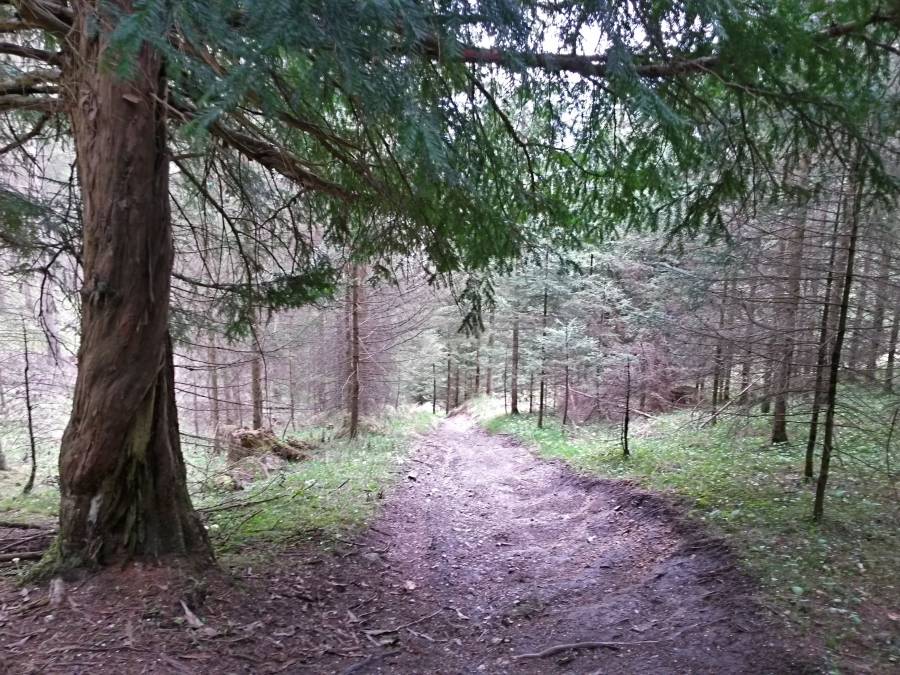 20160423_141029_richtone_hdr_.jpg 20160423_141029_richtone_hdr_.jpg