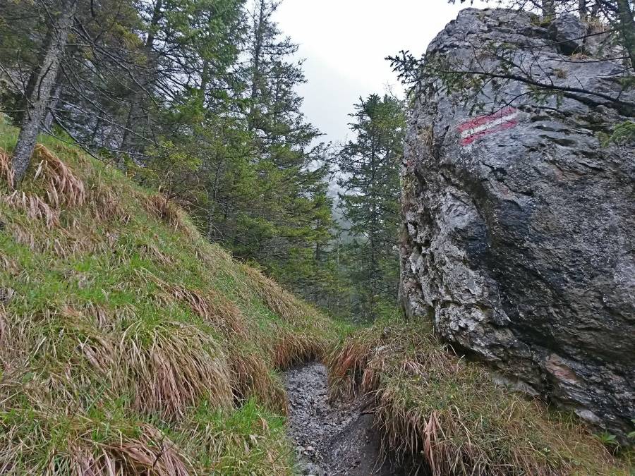 20160505_110224_richtone_hdr_.jpg 20160505_110224_richtone_hdr_.jpg