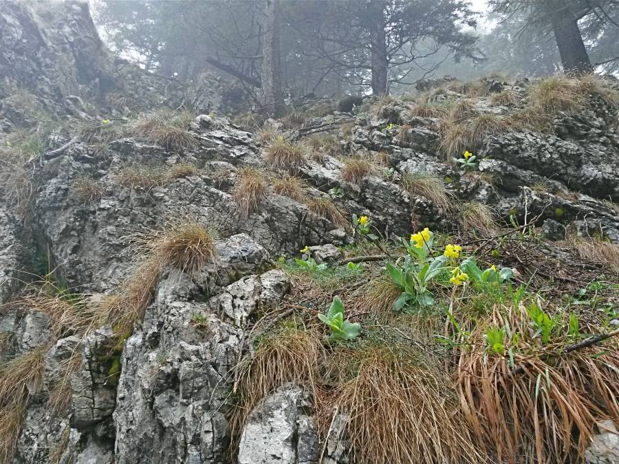 20160505_111803_richtone_hdr_.jpg 20160505_111803_richtone_hdr_.jpg