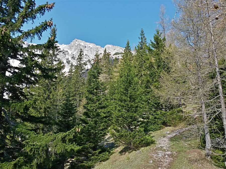 20160507_090527_richtone_hdr_.jpg 20160507_090527_richtone_hdr_.jpg