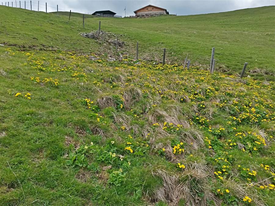 20160507_135048_richtone_hdr_.jpg 20160507_135048_richtone_hdr_.jpg