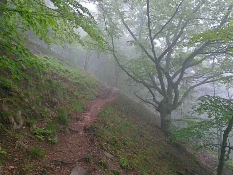 20160512_101013_richtone_hdr_.jpg