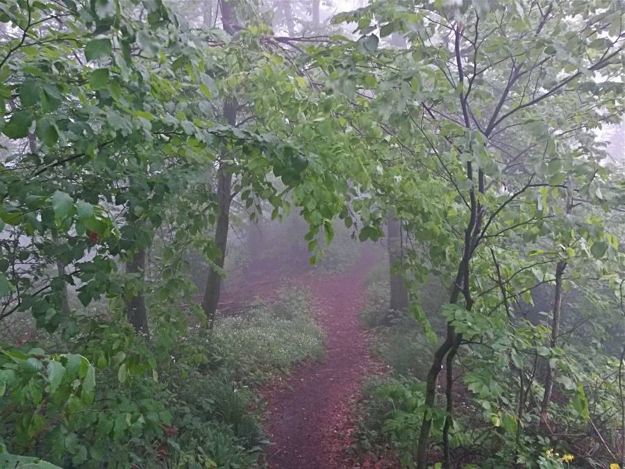 20160512_103600_richtone_hdr_.jpg 20160512_103600_richtone_hdr_.jpg