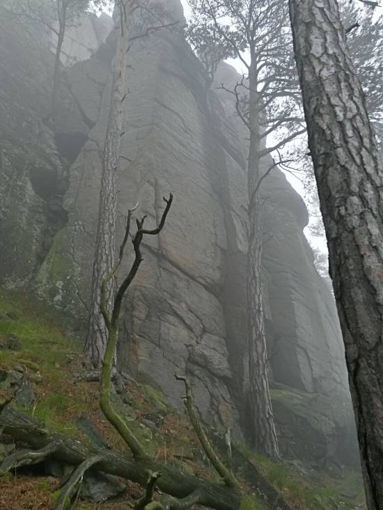 20160512_110735_richtone_hdr_.jpg