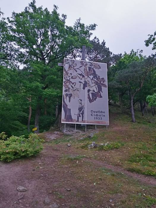 20160512_115726_richtone_hdr_.jpg 20160512_115726_richtone_hdr_.jpg