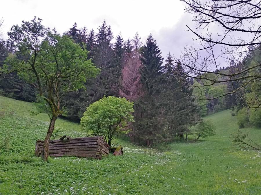 20160515_100023_richtone_hdr_.jpg 20160515_100023_richtone_hdr_.jpg