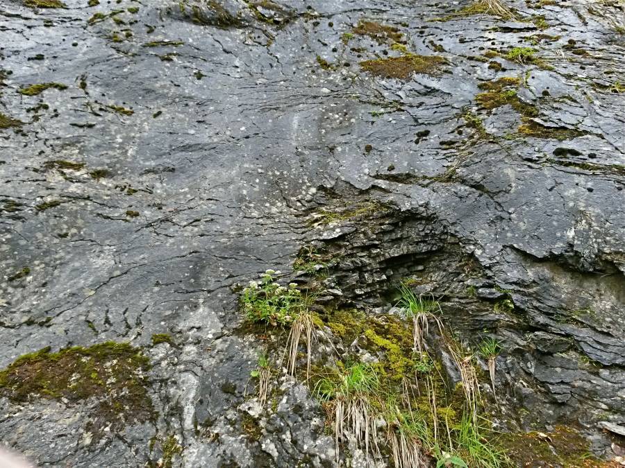 20160515_122447_richtone_hdr_.jpg 20160515_122447_richtone_hdr_.jpg