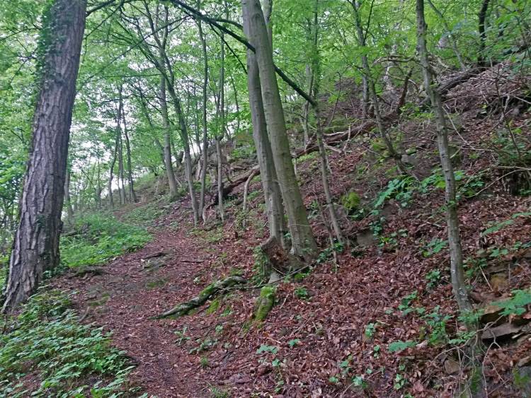 20160520_093053_richtone_hdr_.jpg