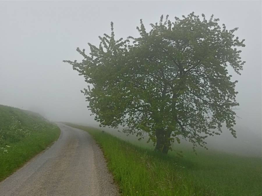 20160520_103425_richtone_hdr_.jpg 20160520_103425_richtone_hdr_.jpg