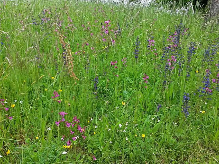 20160520_140803_richtone_hdr_.jpg 20160520_140803_richtone_hdr_.jpg