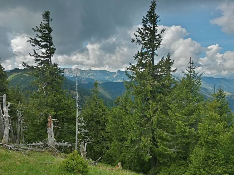 20160604_094634_richtone_hdr_.jpg