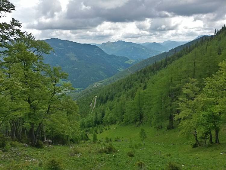 20160604_103736_richtone_hdr_.jpg