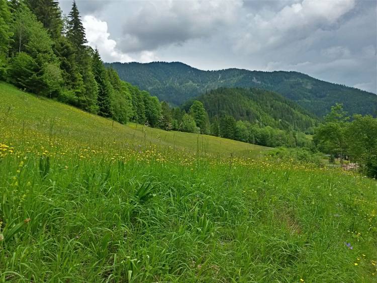 20160604_121920_richtone_hdr_.jpg